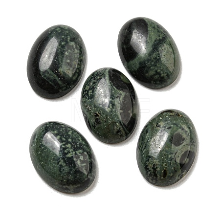 Natural Kambaba Jasper Cabochons G-C115-01A-22-1