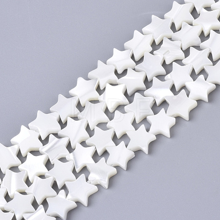 Natural Trochid Shell/Trochus Shell Bead Strands X-SSHEL-N034-68B-1