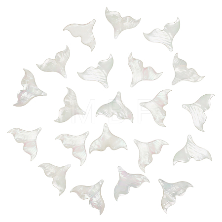 20Pcs Natutal Shell Pendants SHEL-WR0001-05-1