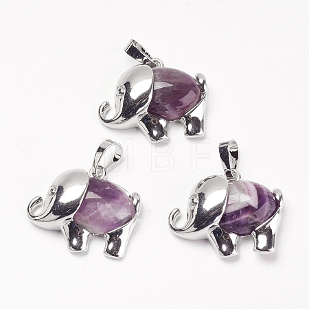 Natural Amethyst Pendants G-G713-E12-1