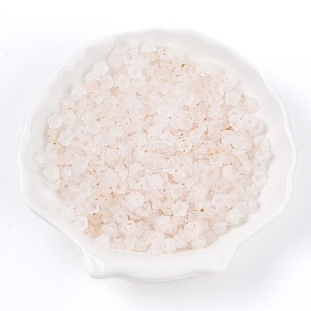 Frosted Transparent Acrylic Beads OACR-N137-72A-1