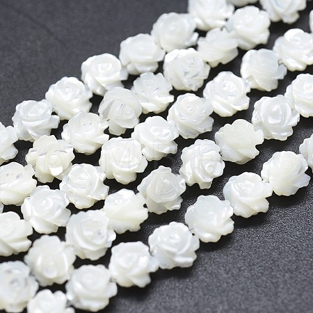 Natural White Shell Beads Strands SSHEL-P015-01A-10mm-1