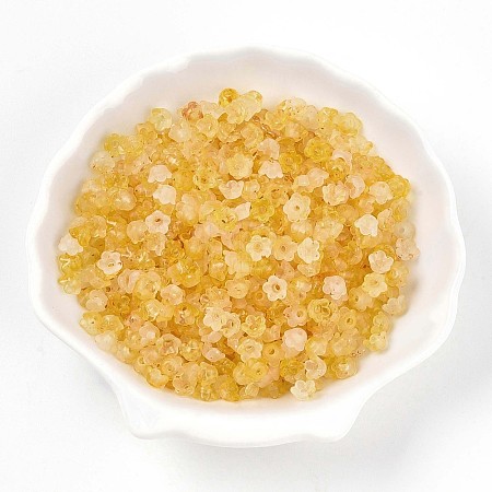 Frosted Transparent Acrylic Beads OACR-N137-72G-1
