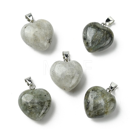 Natural Labradorite Pendants G-F820-10A-06-1