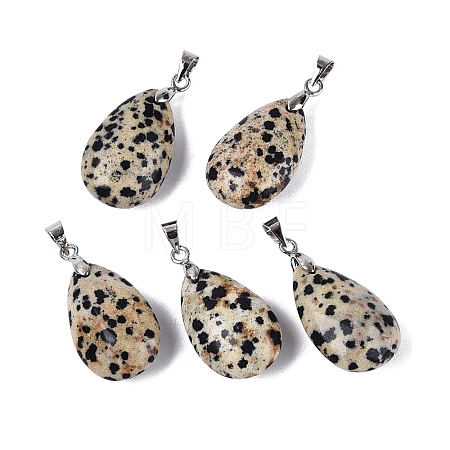 Natural Dalmatian Jasper Pendants G-N362-03P-03-1