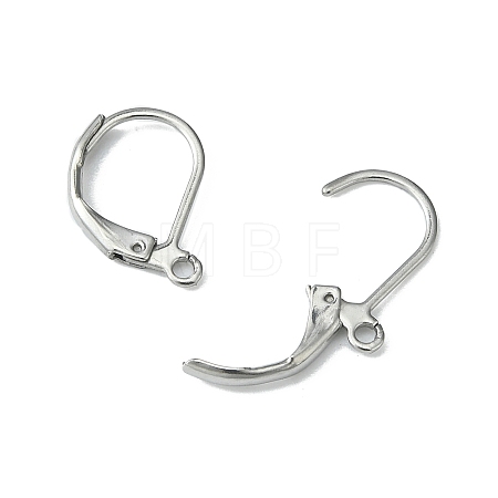 Tarnish Resistant 304 Stainless Steel Leverback Earring Findings STAS-S028-07-1