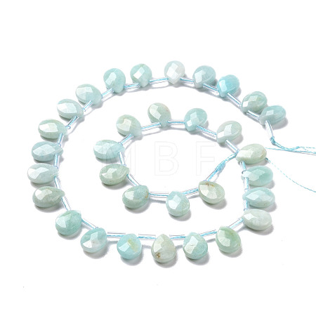 Natural Amazonite Beads Strands G-I246-11-1