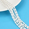 Electroplated Shell Pearl Beads Strands BSHE-Z009-10A-1