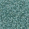 MIYUKI Delica Beads SEED-MY11-DB1767-3