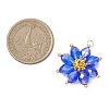 Glass Pendantns PALLOY-MZ01143-3