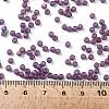 TOHO Round Seed Beads SEED-XTR08-0625F-4