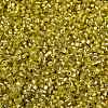 Baking Paint Silver Lined Glass Seed Beads SEED-H003-09E-2