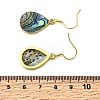 Brass Natural Paua Shell Dangle Earrings EJEW-M060-19B-G-5