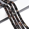 Natural Biotite Beads Strands G-T141-88A-1