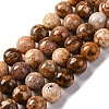 Natural Flower Agate Beads Strands G-B044-A01-03-3