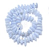 Natural Blue Lace Agate Chip Beads Strands G-NH0016-J01-01-2