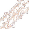 Natural Cultured Freshwater Pearl Beads Strands PEAR-N014-05G-2
