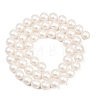 Frosted Glass Pearl Beads Strands GLAA-A044-08A-01-2
