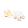 Opaque Resin Cabochons CRES-A064-01A-2