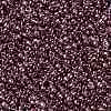 TOHO Round Seed Beads SEED-JPTR15-0201-2