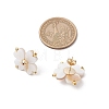 Clover Natural Freshwater Shell Stud Earrings EJEW-JE06387-3