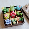 Succulent Plant Gift Box Needle Felting Kit DIY-D065-04P-1