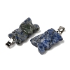 Natural Blue Spot Jasper Pendants G-B127-09P-09-3