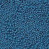 11/0 Grade A Baking Paint Glass Seed Beads X-SEED-N001-A-1017-2