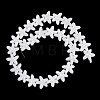 Baking Paint Glass Beads LAMP-C021-01F-1