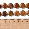 Natural Petrified Wood Beads Strands G-H344-B03-01-5