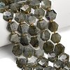 Natural Gray Labradorite Beads Strands G-L660-A02-01-1