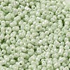 Glass Seed Beads SEED-K009-02A-09-3