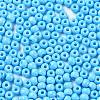 Baking Paint Glass Seed Beads SEED-H002-I-B504-3