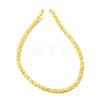 Dyed Natural Freshwater Shell Beads Strands SH-CBA2978-07C-01-3