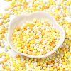 6/0 Opaque Baking Paint Glass Seed Beads X1-SEED-M012-02A-28-2