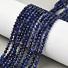 Natural Sodalite Beads Strands G-L622-C04-3mm-1