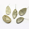 Natural Fossil Pendants G-G694-B-12-1