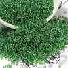 12/0 FGB Grade A Round Glass Seed Beads SEED-Q011-F519-1