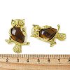 Natural Tiger Eye Pendants KK-F888-02G-19-3