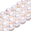 Natural Cultured Freshwater Pearl Beads Strands PEAR-L001-C-03-2