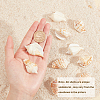 Natural Conch Shell Beads BSHE-SC0001-02-3