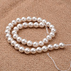 Polished Round Grade A Shell Pearl Bead Strands BSHE-M027-6mm-28-2