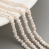 Natural Cultured Freshwater Pearl Beads Strands PEAR-C003-06F-2