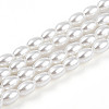 Baking Paint Pearlized Glass Pearl Bead Strands X-HY-T002-01C-01-3