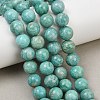 Natural Amazonite Beads Strands G-F461-12-10mm-01-9