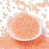 Glass Seed Beads SEED-H002-L-A235-2