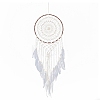 Iron Bohemian Woven Web/Net with Feather Macrame Wall Hanging Decorations PW-WG35995-01-1