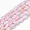 Natural Freshwater Shell Beads Strands X-SHEL-N003-25-B06-1