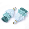 Polycotton(Polyester Cotton) Tassel Pendant Decorations X-FIND-T018-02-2