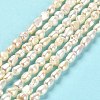Natural Keshi Pearl Beads Strands PEAR-E016-102-2